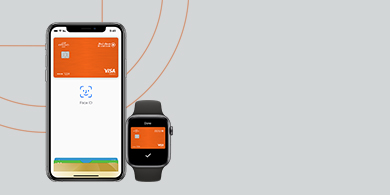 APPLE PAY  390 X 195 