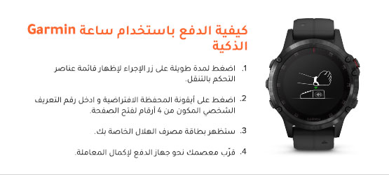 Garmin_Pay